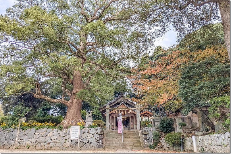 糸島市志摩馬場 六所神社の境内、駐車場