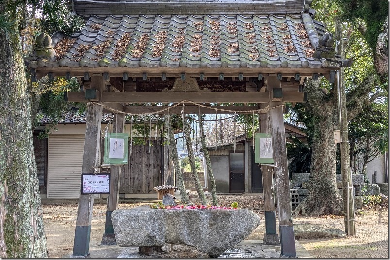 糸島市野北 須賀神社の花手水