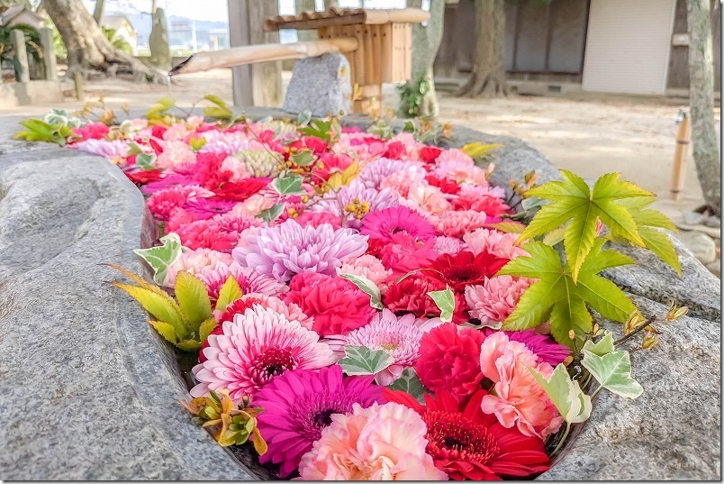 糸島市野北 須賀神社の花手水