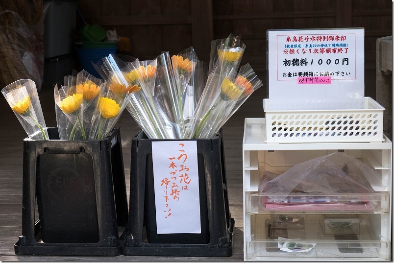 糸島市三雲 細石神社で御朱印。2024糸島花手水特別御朱印