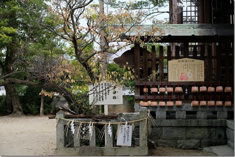 JR波多江に近い産宮神社・子安梅（糸島電車で初詣）