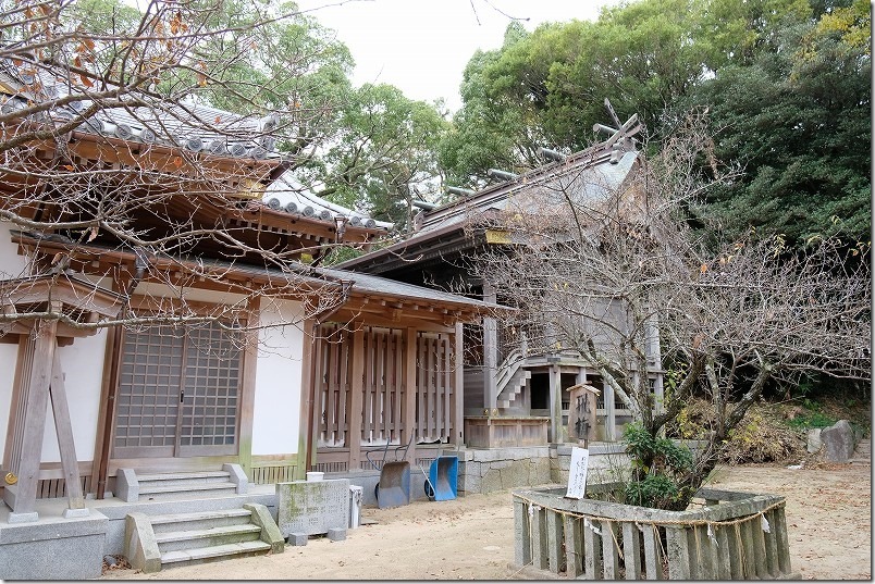 筑前深江駅に近い深江神社・飛梅（糸島電車で初詣）