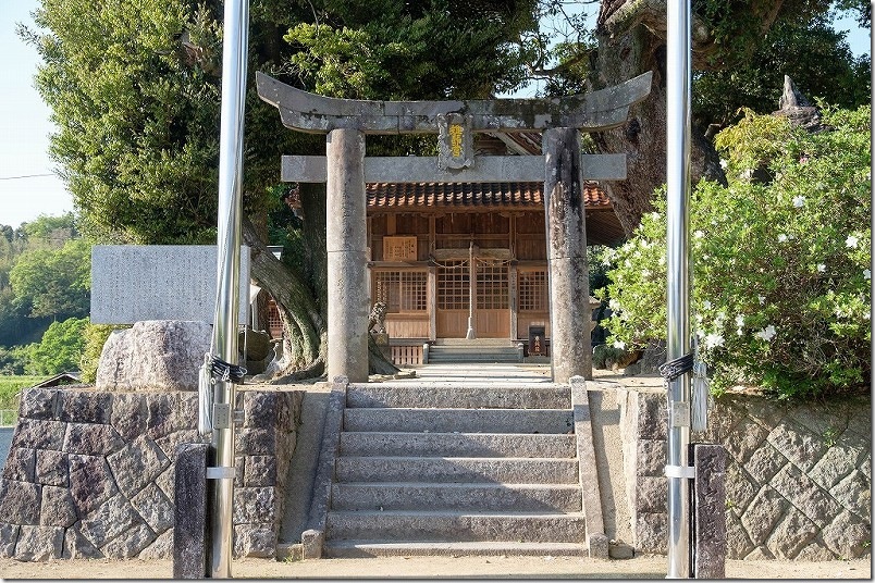 糸島 雉琴神社