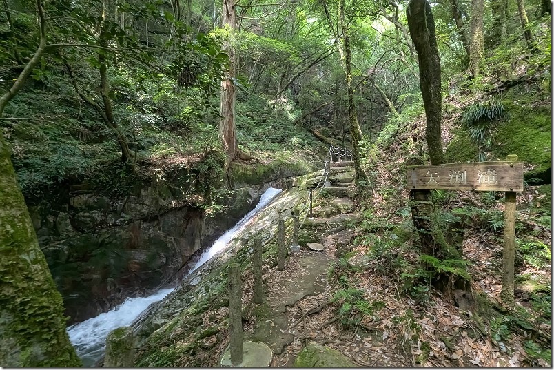野河内渓谷 散策 矢渕滝