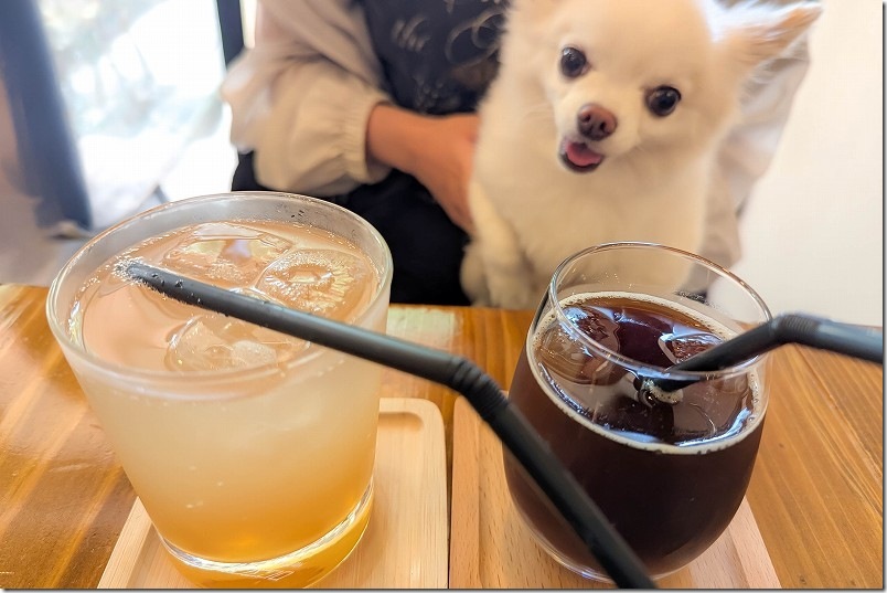 カフェ しあわせ駅のランチ セットのドリンク +250円