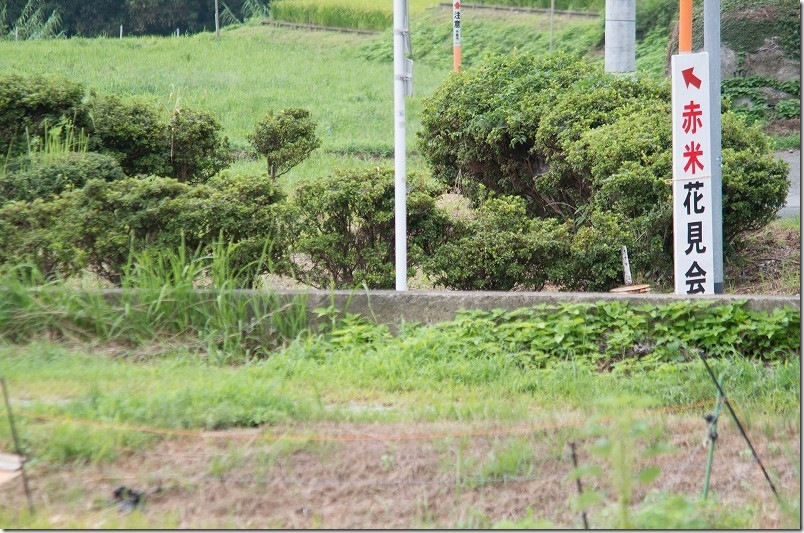 赤米アートへのアクセス情報 道路沿いの案内看板