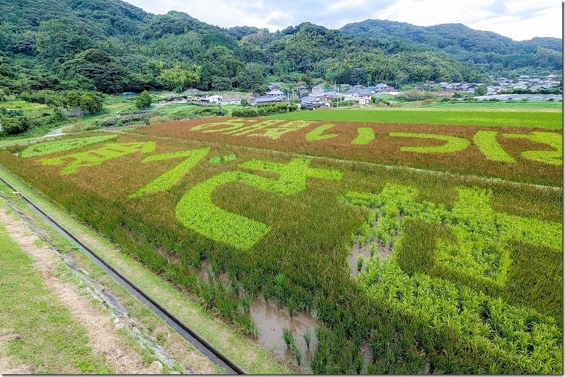 2025年 赤米アートの絵文字